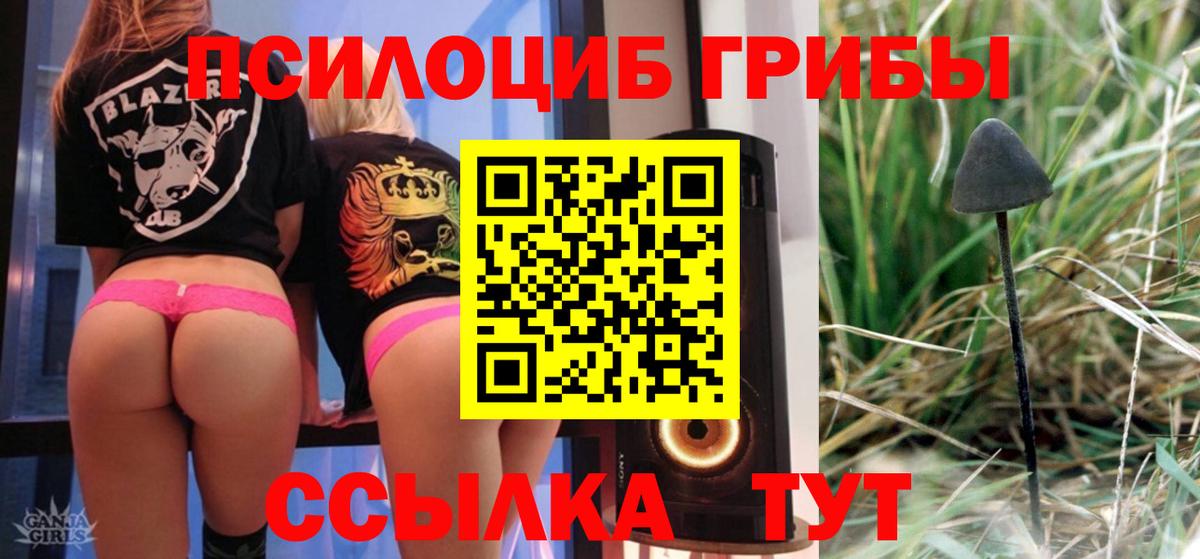 Галлюциногенные грибы мицелий Лабытнанги